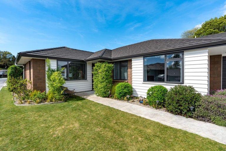 Photo of property in 2/3 Mcandrew Street, Kihikihi, Te Awamutu, 3800