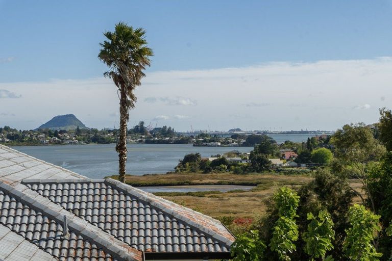 Photo of property in 44 Diamond Head, Hairini, Tauranga, 3112