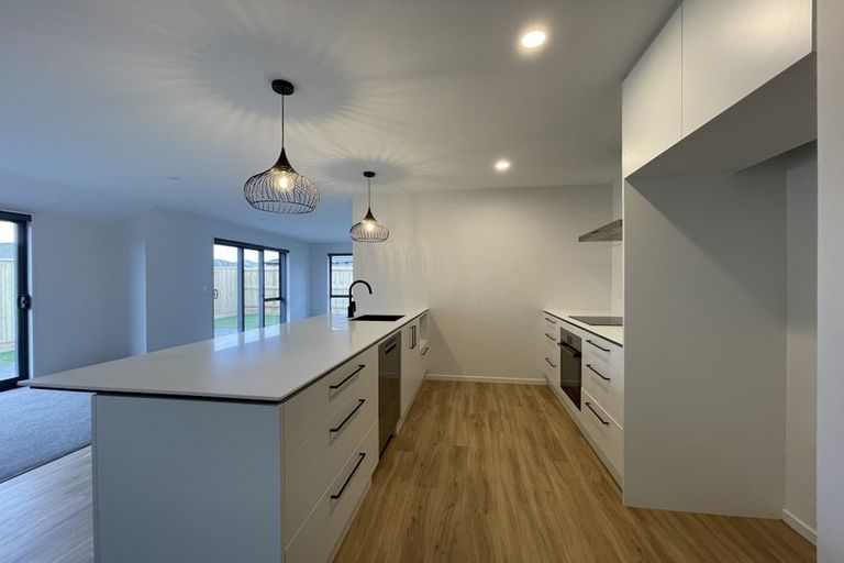 Photo of property in 66 Nethercote Way, Rolleston, 7614