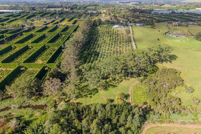 Photo of property in 89 Conifer Lane, Kerikeri, 0294