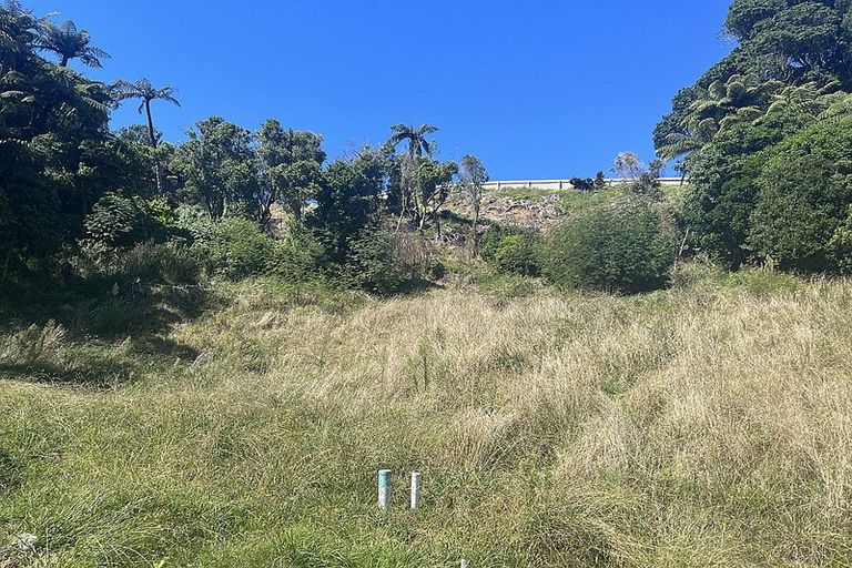 Photo of property in 18 Selwyn Street, Lower Vogeltown, New Plymouth, 4310