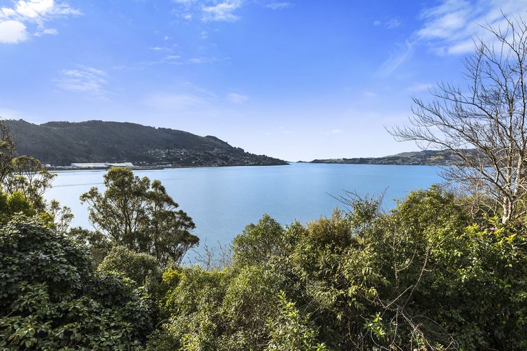 Photo of property in 230 Portobello Road, The Cove, Dunedin, 9077