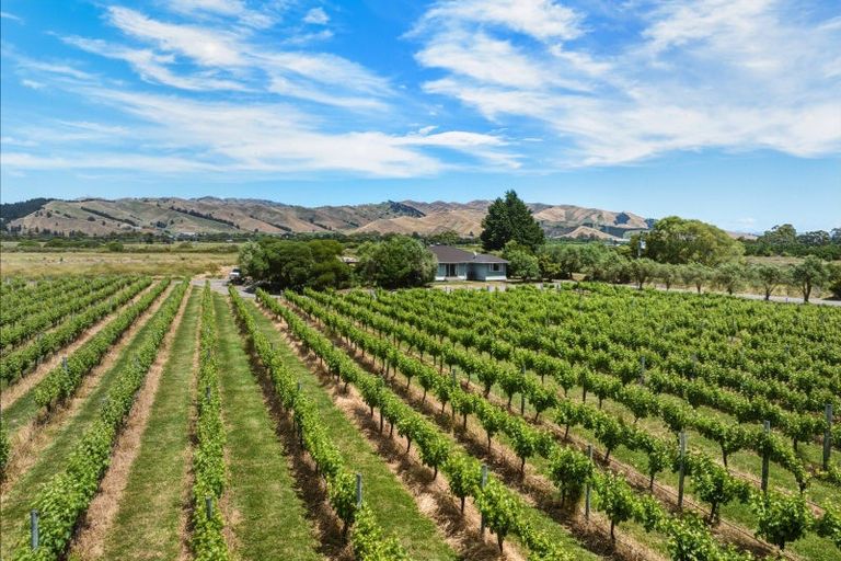 Photo of property in 686 Dillons Point Road, Dillons Point, Blenheim, 7273