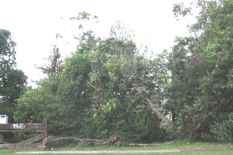 Photo of property in 28 Metcalfe Road, Ranui, Auckland, 0612
