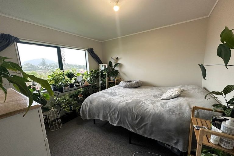 Photo of property in 20 Ridgeway Drive, Te Kamo, Whangarei, 0112