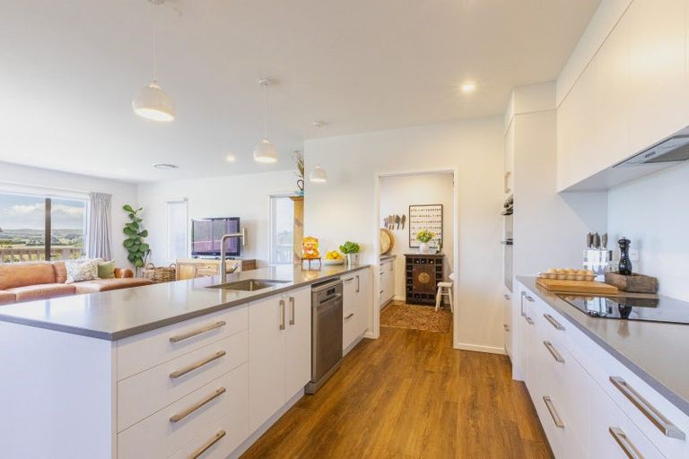 Photo of property in 205 Porangahau Road, Waipukurau, 4200