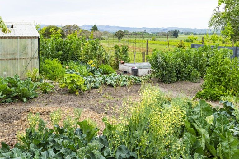 Photo of property in 111a Glenelg Road, Makauri, Gisborne, 4071