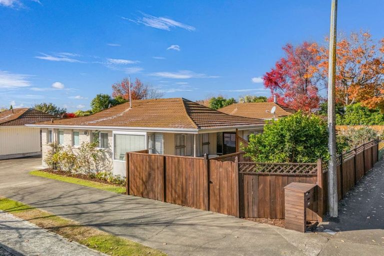Photo of property in 1/113 Te Mata Road, Havelock North, 4130
