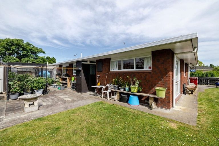 Photo of property in 19 Te Punga Place, Awapuni, Palmerston North, 4412