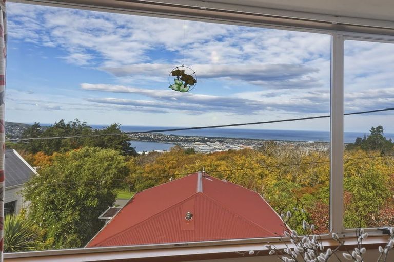 Photo of property in 28a Sheen Street, Roslyn, Dunedin, 9010