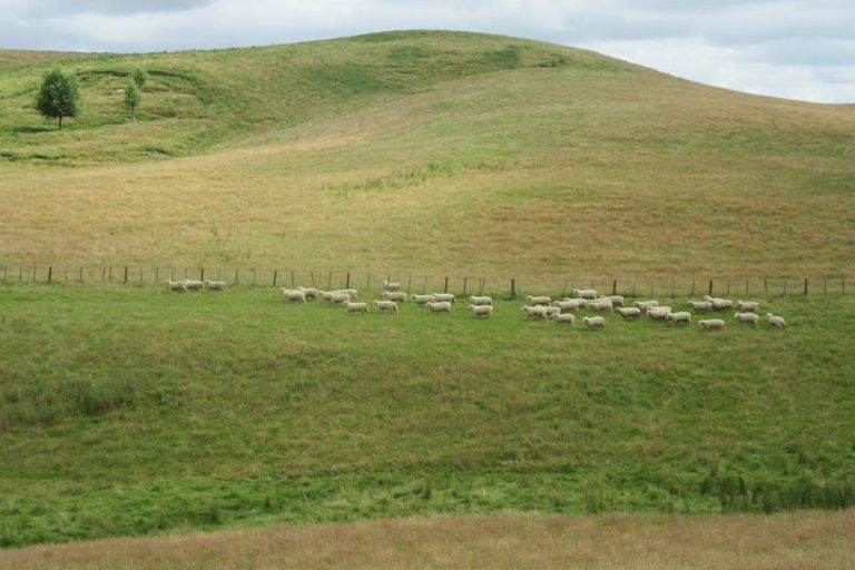 Photo of property in 359 Mangatarata Road, Waipukurau, 4285