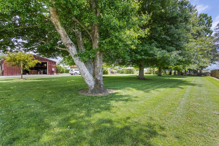 Photo of property in 8 Coates Lane, Te Poi, Matamata, 3473