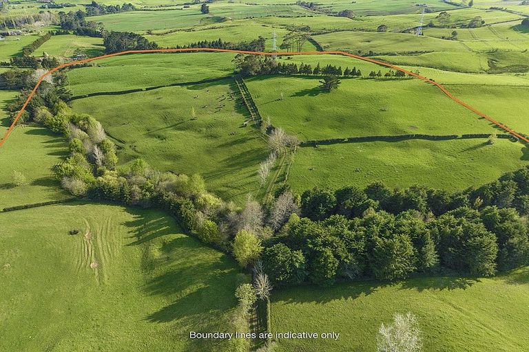 Photo of property in 290 Ostrich Road, Patumahoe, Pukekohe, 2679