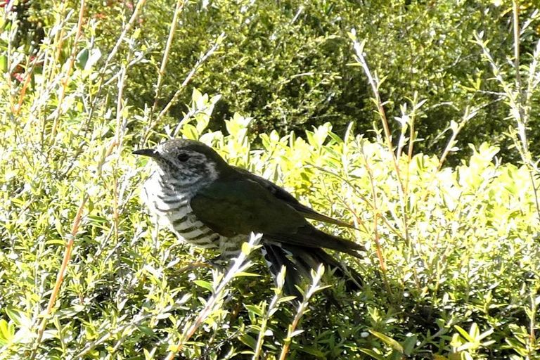 Photo of property in 22 Herring Stream Road, Motueka Valley, Motueka, 7196