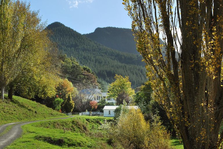 Photo of property in 97 Adams Peak Road, Mangapakeha, Masterton, 5889