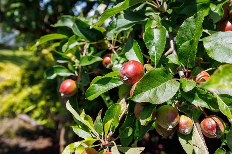 Photo of property in 9 Maunder Street, Marton, 4710