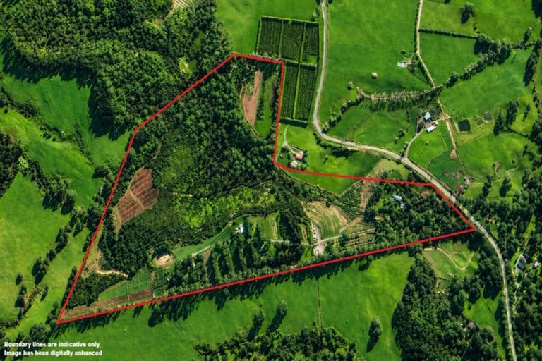 Photo of property in 501 Purangi Road, Purangi, Whitianga, 3591
