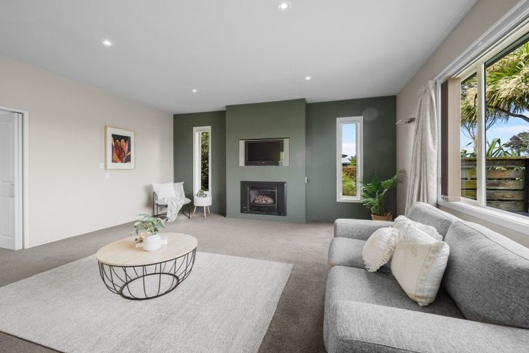 Photo of property in 19 Ludlow Drive, Huntingdon, Ashburton, 7774