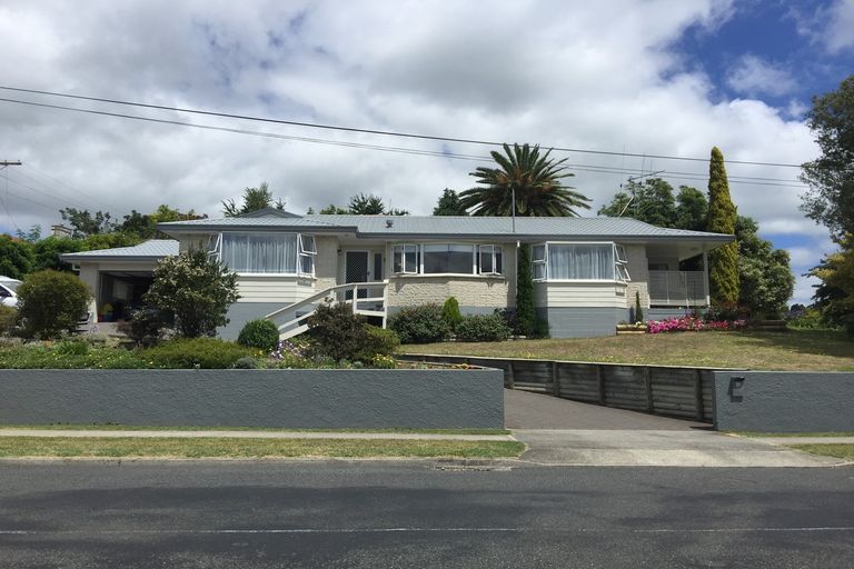Photo of property in 52 Downes Street, Te Awamutu, 3800