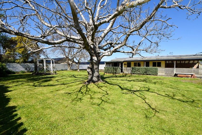 Photo of property in 17 Macara Street, Masterton, 5810