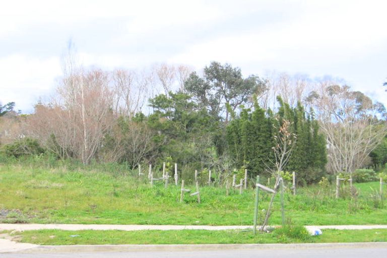 Photo of property in 100a Cyril French Drive, Flat Bush, Auckland, 2016