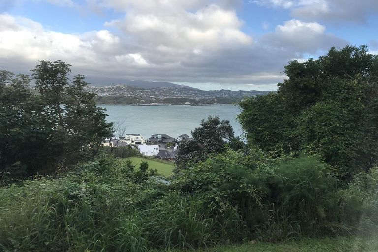 Photo of property in 6b Peranga Terrace, Hataitai, Wellington, 6021