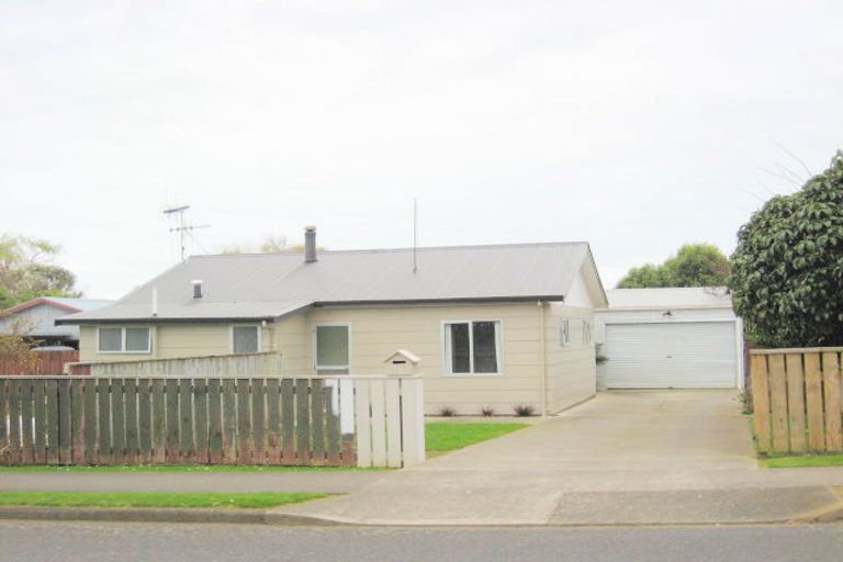 Photo of property in 155 Tiro Tiro Road, Levin, 5510