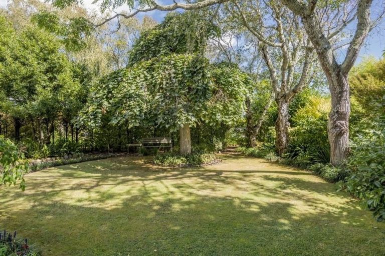 Photo of property in 18 Graham Street, Levin, 5510