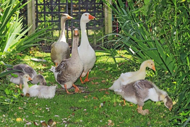 Photo of property in 37 Gillies Crescent, Waimarama, Havelock North, 4294
