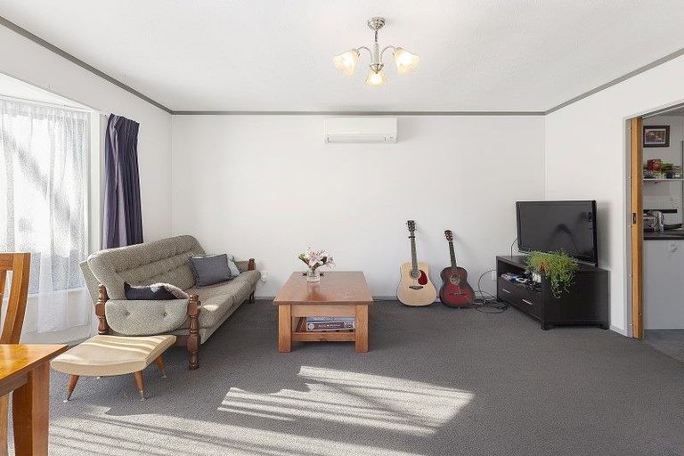 Photo of property in 115f3 Owen Street, Newtown, Wellington, 6021