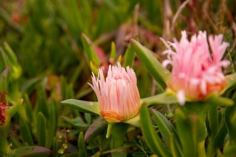 Photo of property in 1 Ngapotiki Street, Paraparaumu Beach, Paraparaumu, 5032