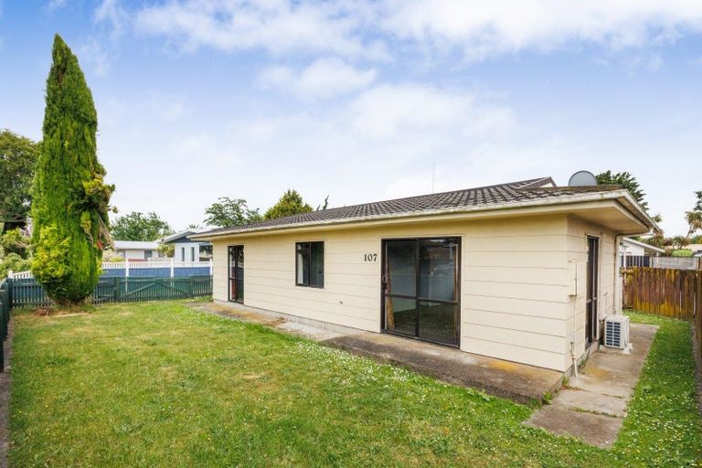 Photo of property in 107 Tremaine Avenue, Westbrook, Palmerston North, 4412