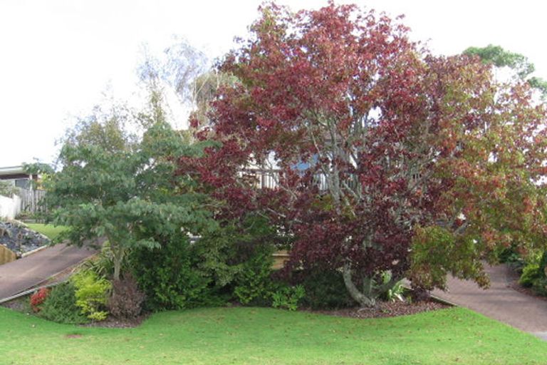 Photo of property in 18 Flagstaff Place, Massey, Auckland, 0614