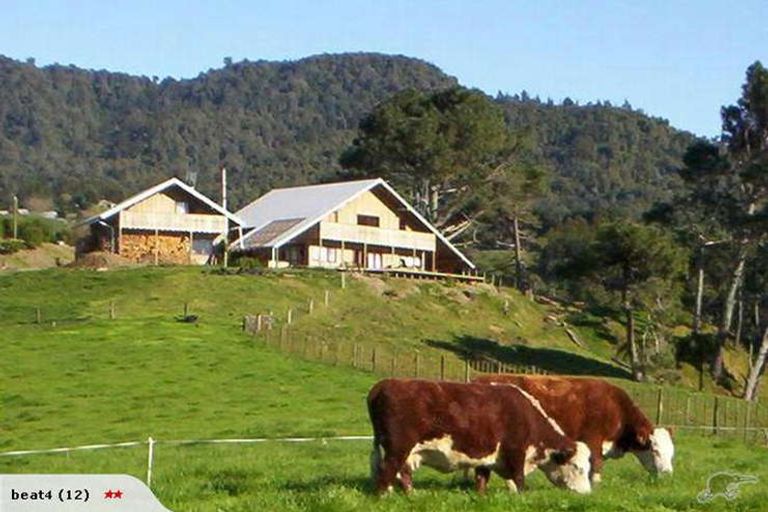 Photo of property in 195 Lindemann Road, Tahawai, Katikati, 3170