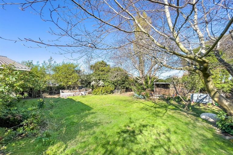 Photo of property in 228a Opawa Road, Hillsborough, Christchurch, 8022
