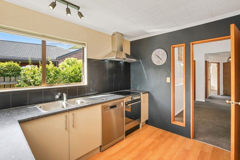 Photo of property in 17 Giblin Street, Richmond, 7020