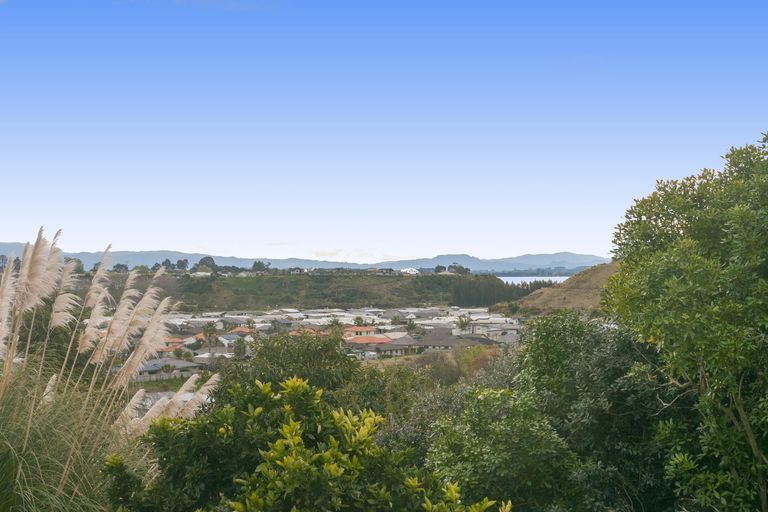 Photo of property in 313 Waihi Road, Judea, Tauranga, 3110