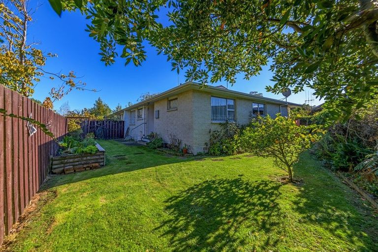 Photo of property in 8a Gainsborough Grove, Highbury, Palmerston North, 4412