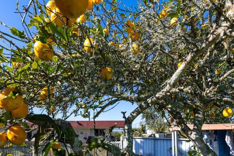 Photo of property in 252 Whangamarino Road, Whangamarino, Te Kauwhata, 3782