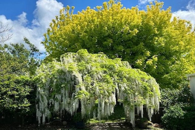 Photo of property in 379 Thames Street, Morrinsville, 3300