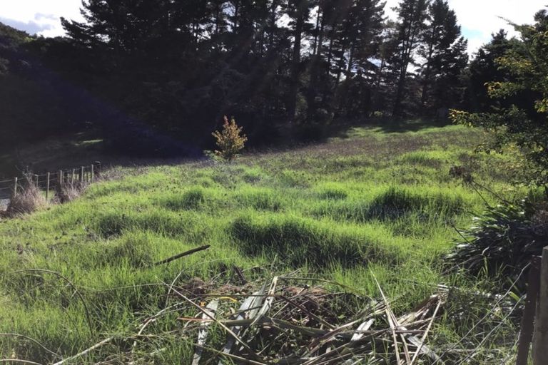 Photo of property in 179 Great North Road, Te Kamo, Kamo, 0185