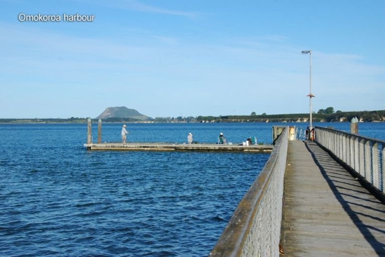 Photo of property in 29 Tory Way, Omokoroa, 3114