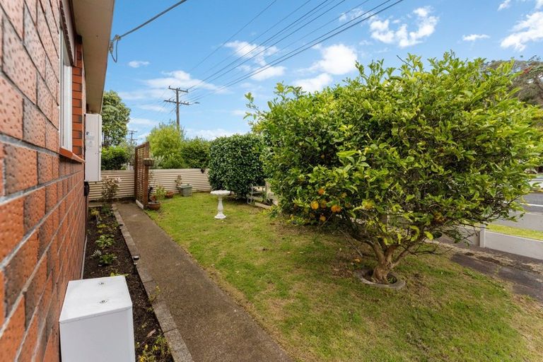 Photo of property in 127 Lemon Street, New Plymouth, 4312