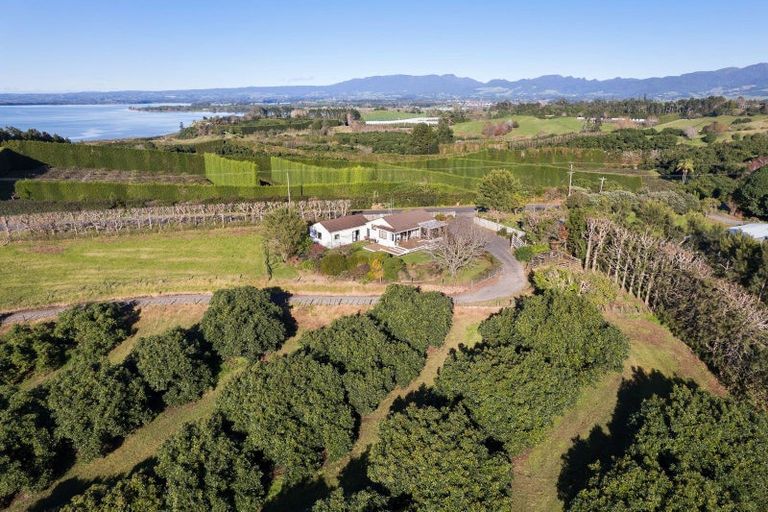 Photo of property in 297 Kauri Point Road, Tahawai, Katikati, 3170