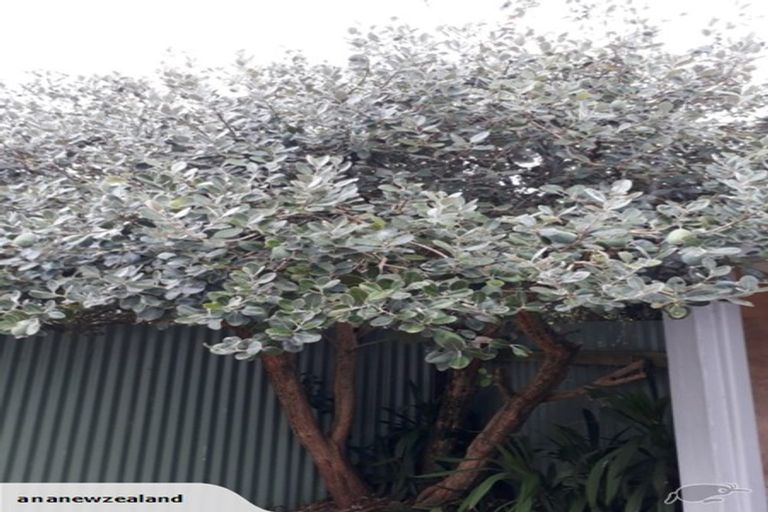 Photo of property in 2/50 Hain Avenue, Mangere East, Auckland, 2024