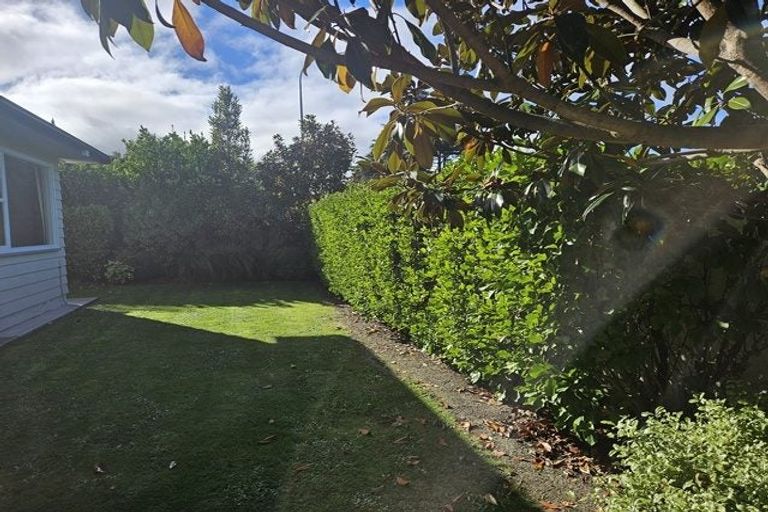 Photo of property in 79 Te Awe Awe Street, Hokowhitu, Palmerston North, 4410