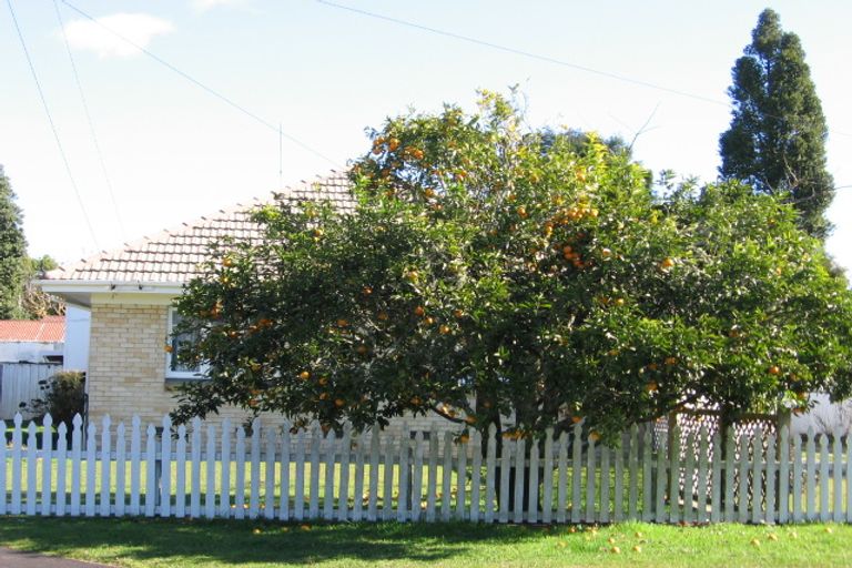 Photo of property in 17a Darley Street, Maeroa, Hamilton, 3200