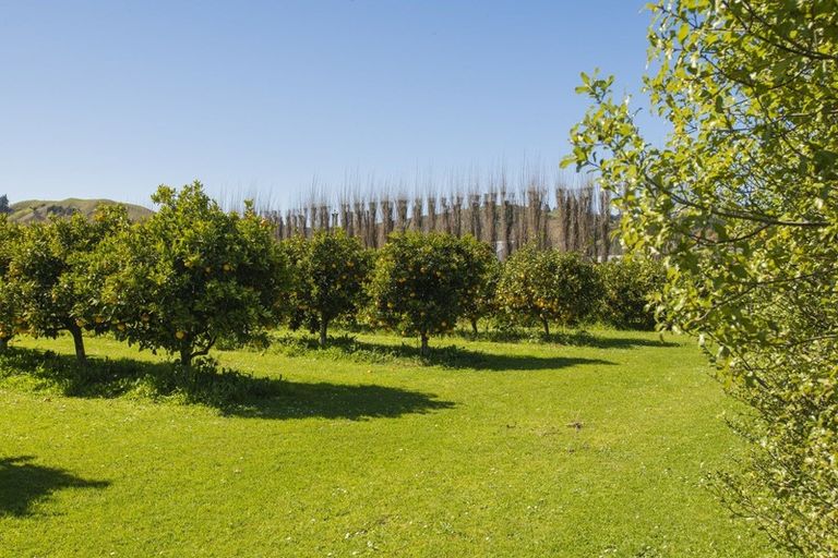 Photo of property in 1286 Matawai Road, Ormond, Gisborne, 4071