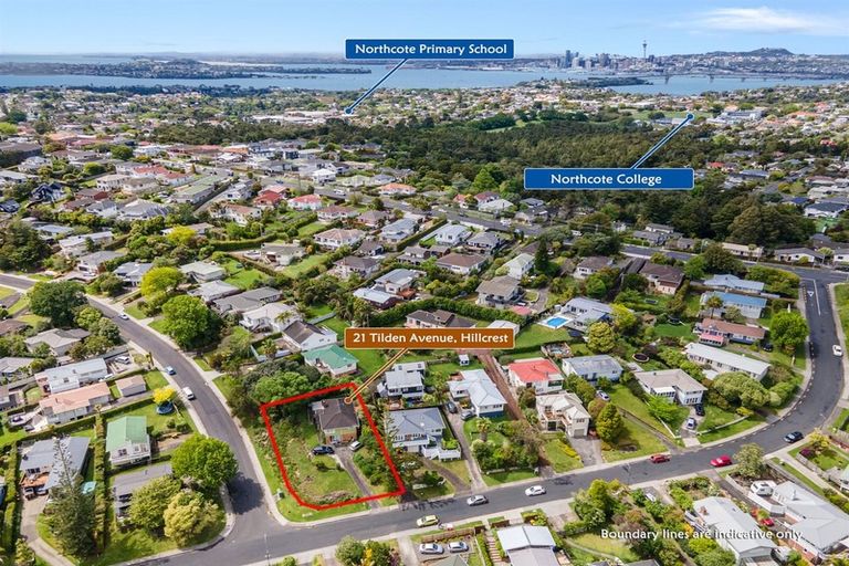 Photo of property in 21 Tilden Avenue, Hillcrest, Auckland, 0627