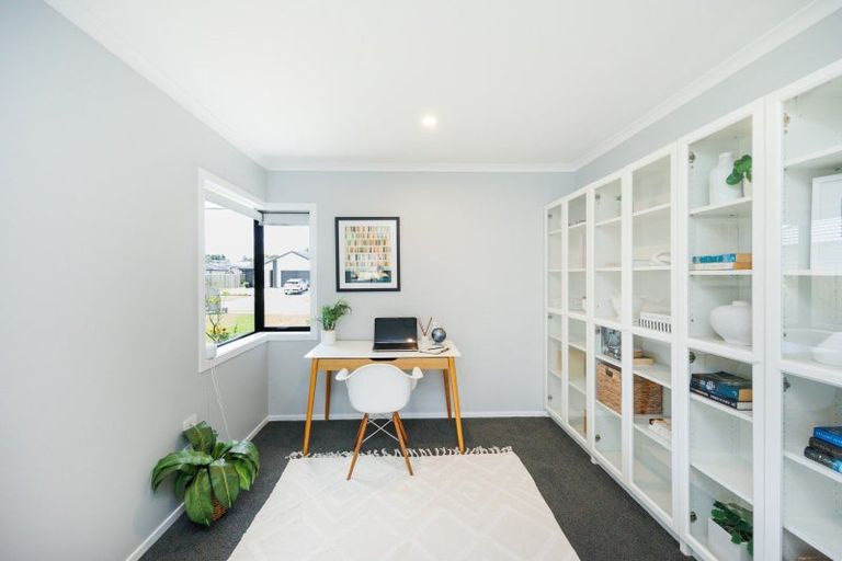 Photo of property in 43 Accolade Street, Feilding, 4702